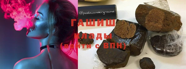 прущие грибы Михайлов