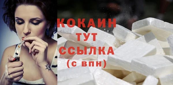 прущие грибы Михайлов