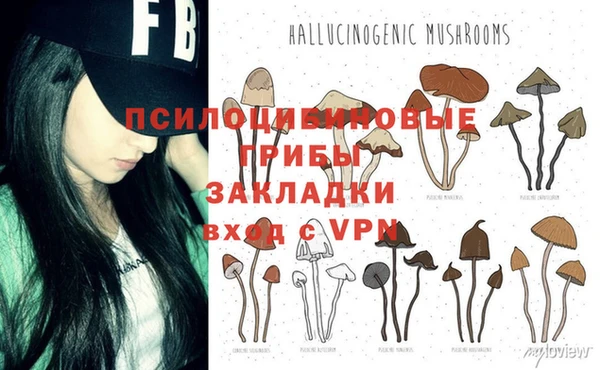 стафф Михайловка