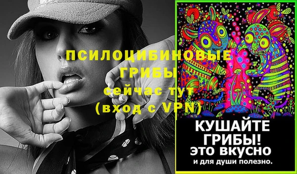 прущие грибы Михайлов