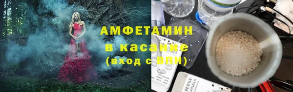 прущие грибы Михайлов