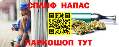 шишки Гагарин