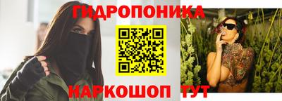 a pvp Гатчина
