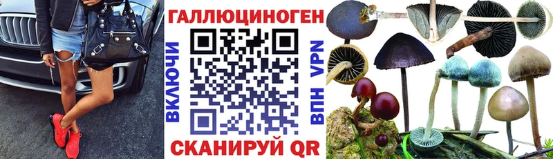 Псилоцибиновые грибы Magic Shrooms  мега ссылки  Жуковский  купить наркотик 