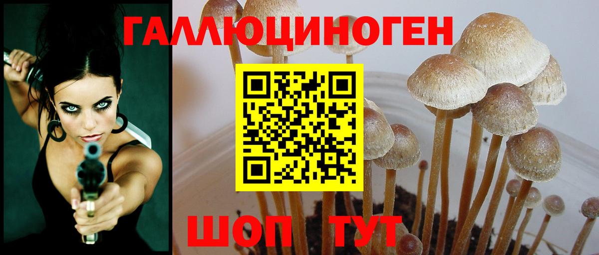 Галлюциногенные грибы MAGIC MUSHROOMS  Вход с VPN  сколько стоит  Жуковский 